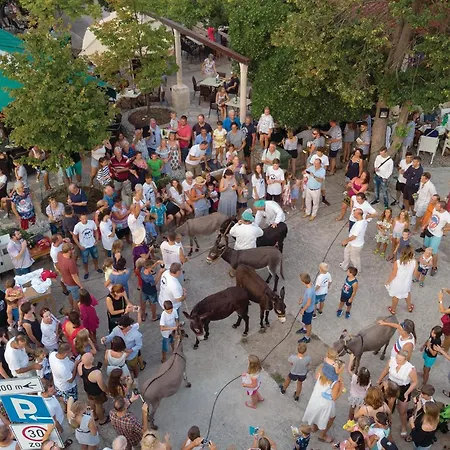 Przina Iv Hébergement de vacances Lumbarda